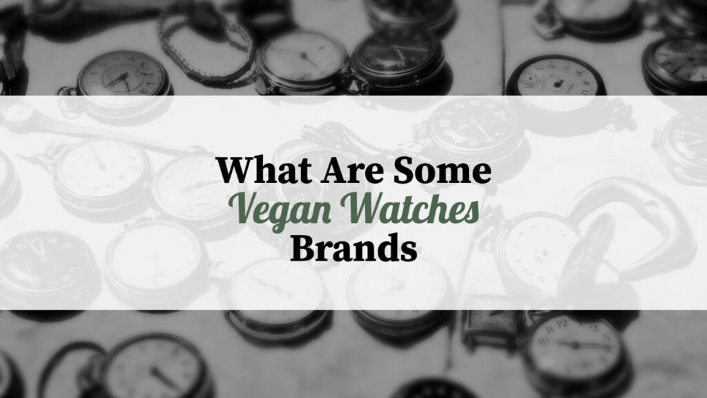 What Are Some Vegan Watches Brands?