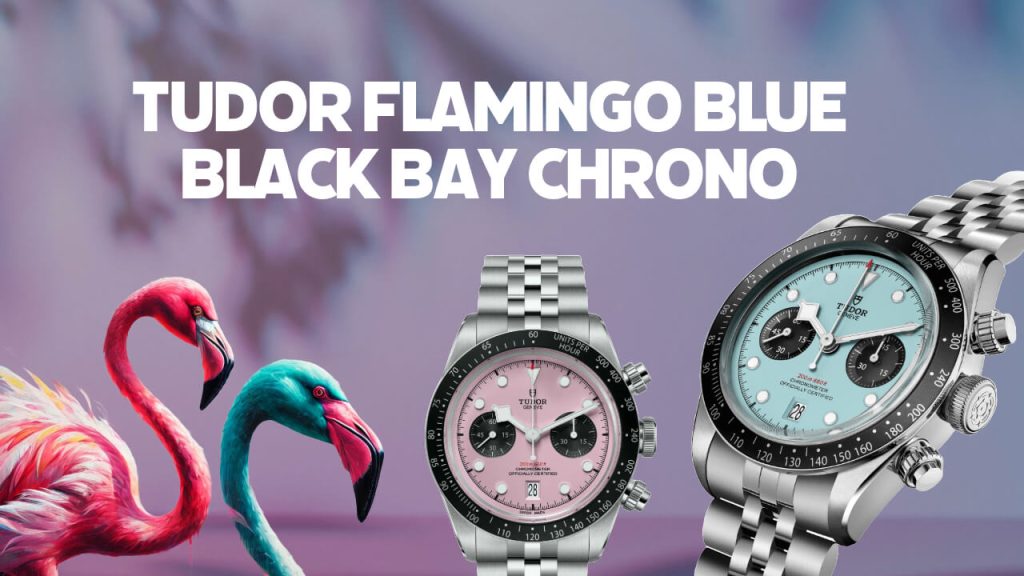 Tudor Flamingo Blue Black Bay Chrono